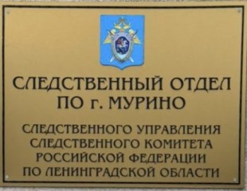 В Мурино в отношении ранее обвиняемого в убийстве мужчины возбуждено еще одно уголовное дело